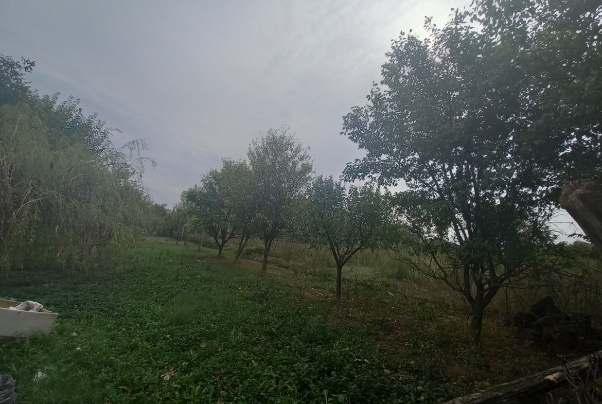 Pécstől 30 km távolságra Rózsafán eladó családi ház!