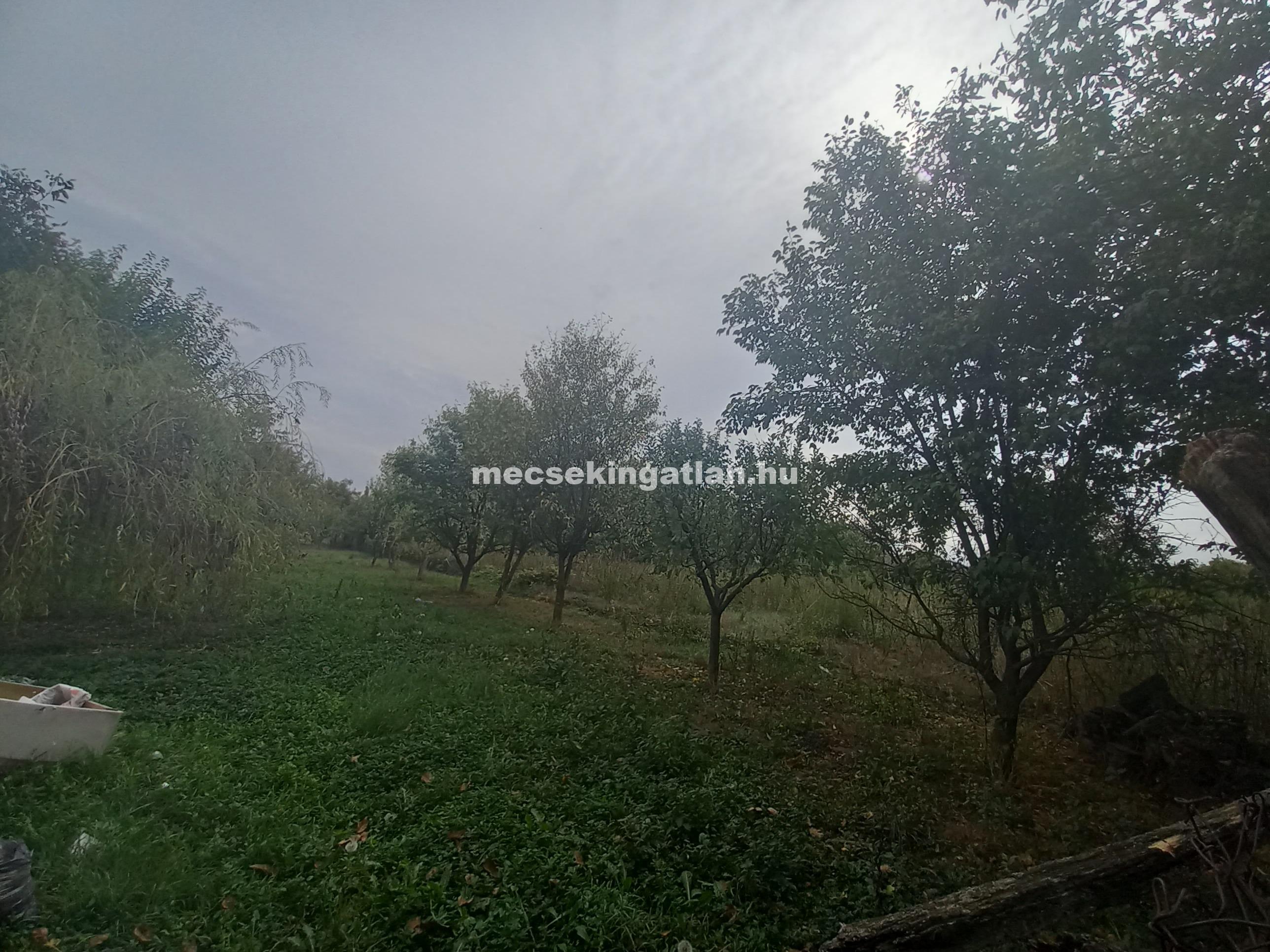 Pécstől 30 km távolságra Rózsafán eladó családi ház!