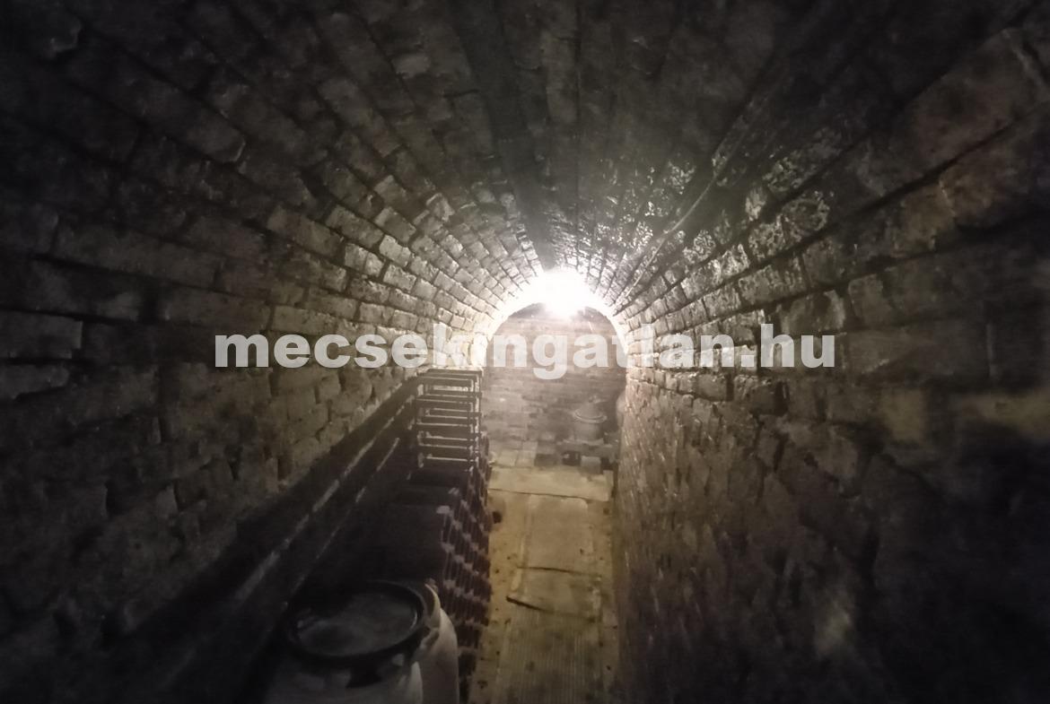 A Mecsek oldalában – a Sáska -dűlőben örökpanorámás ingatlan eladó!