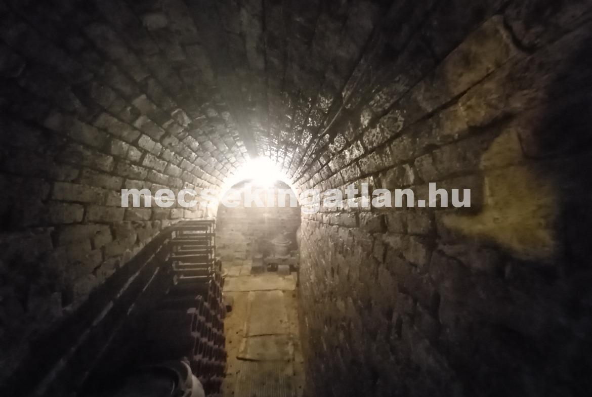 A Mecsek oldalában – a Sáska -dűlőben örökpanorámás ingatlan eladó!