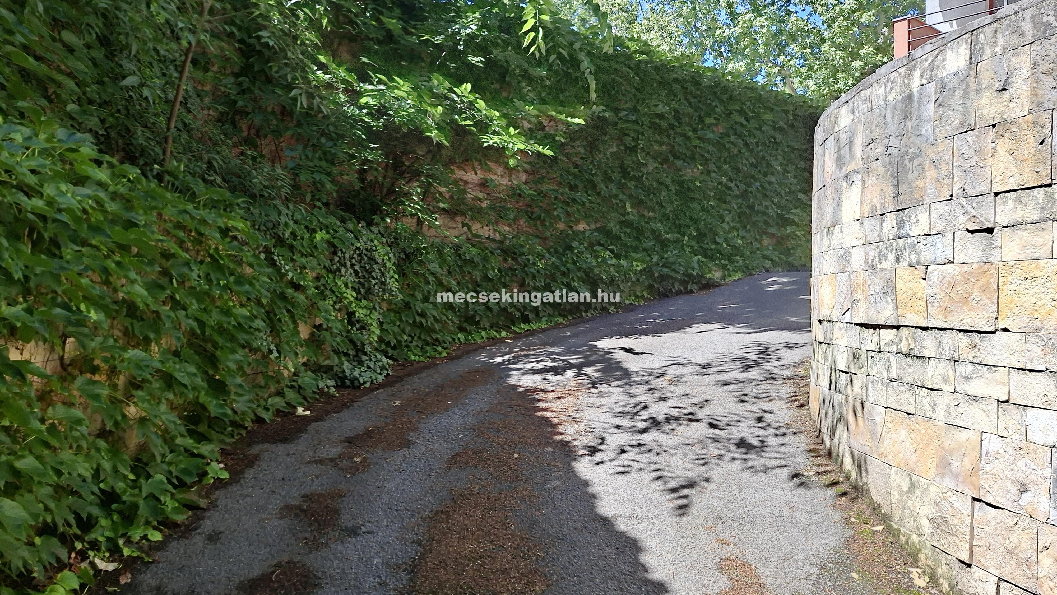 Pécs, Kórház térnél teremgarázs kiadó