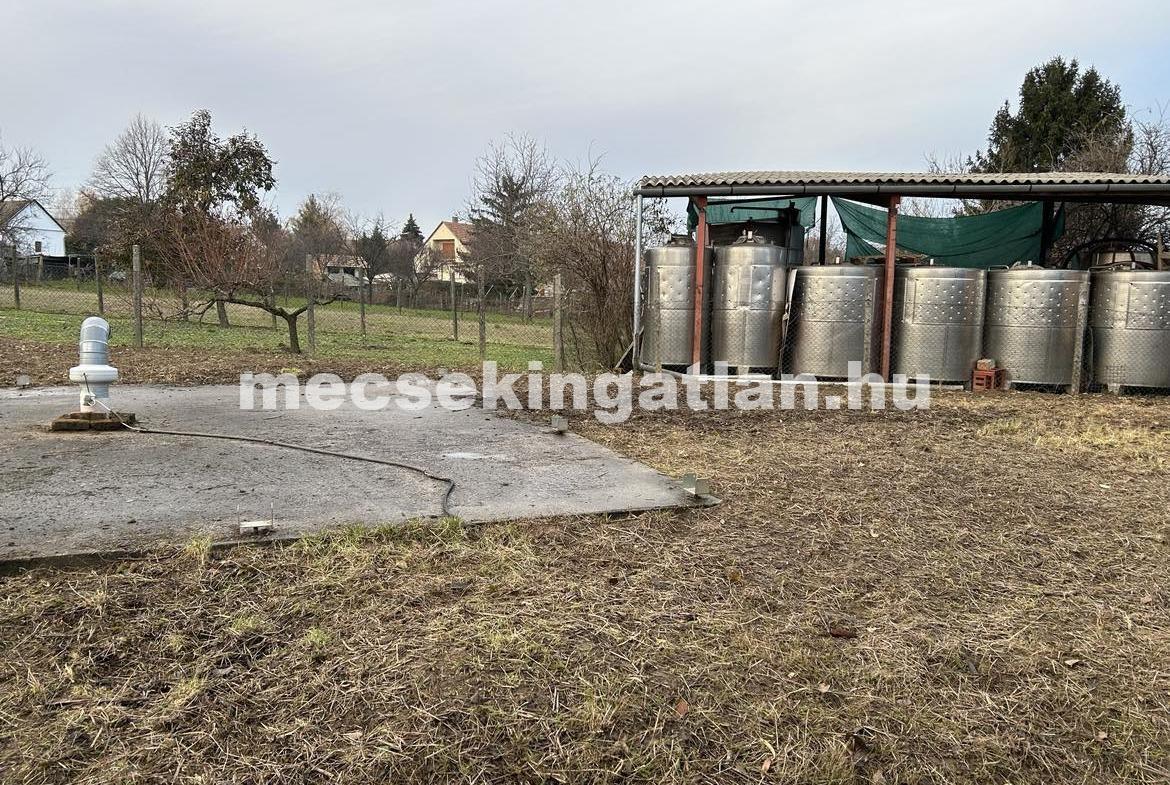 Kivételes befektetési és gasztronómiai lehetőség Villány szívében!