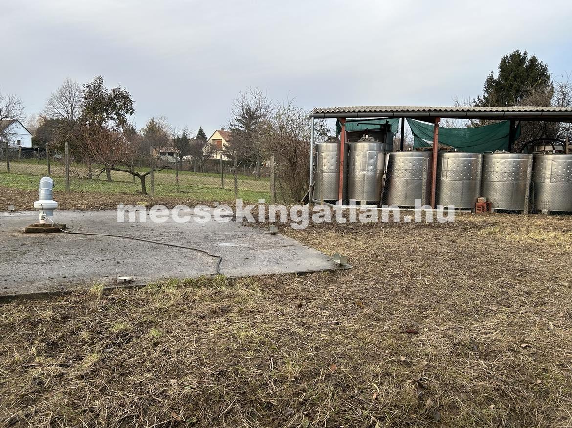 Kivételes befektetési és gasztronómiai lehetőség Villány szívében!