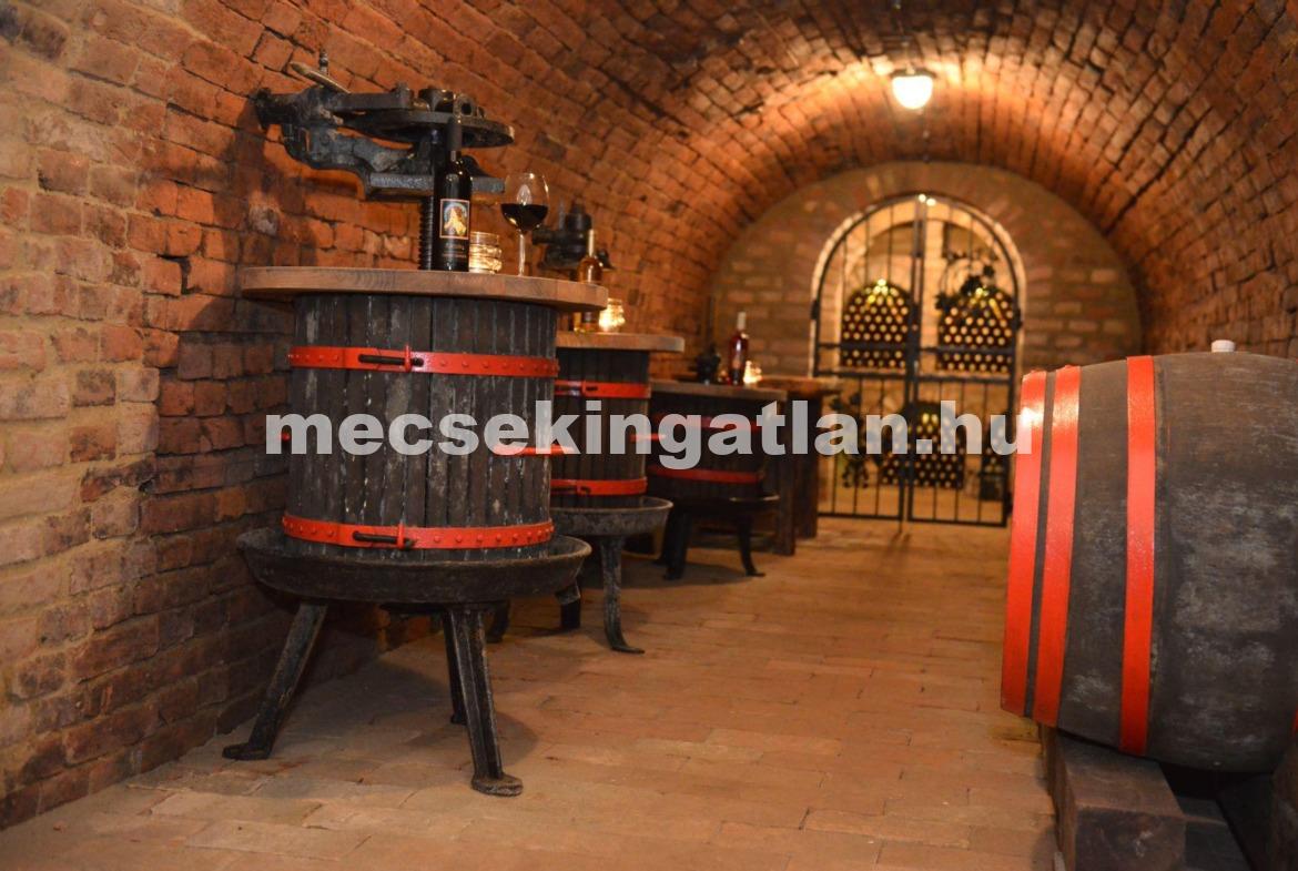 Kivételes befektetési és gasztronómiai lehetőség Villány szívében!