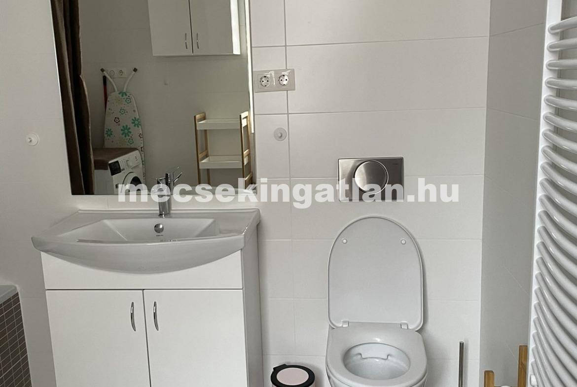 Pécsett a Munkácsy Mihály utcában, új építésű liftes házban egy szobás téglalakás kiadó!