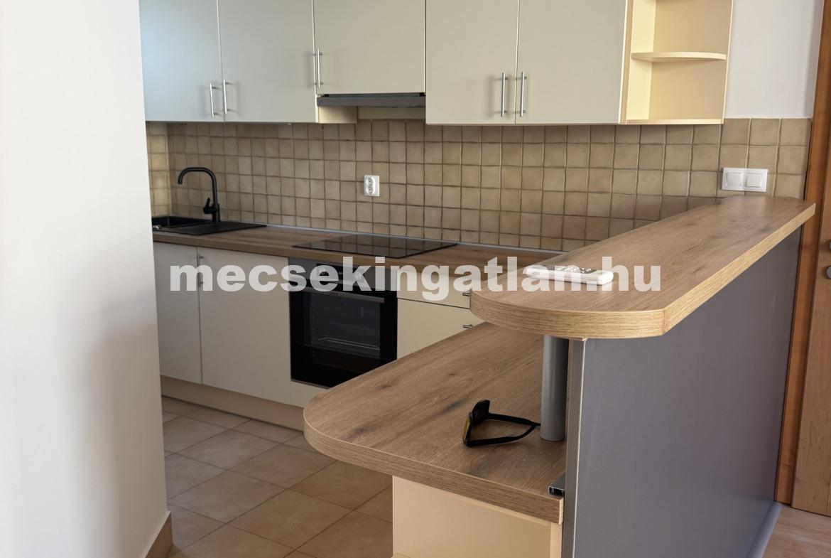 Pécsett a Légszeszgyár utcában igényesen felújított, földszinti téglalakás eladó!