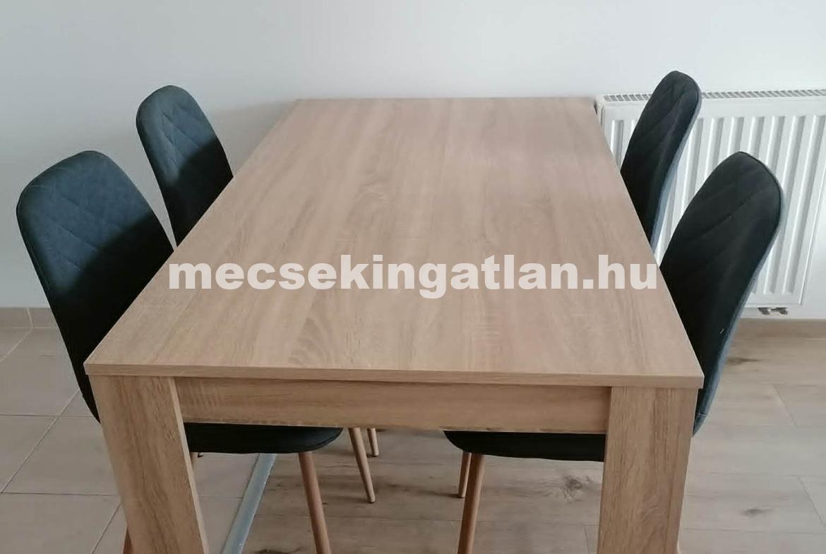 Pécsett a Megyeri téren újépítésű téglalakás kiadó!