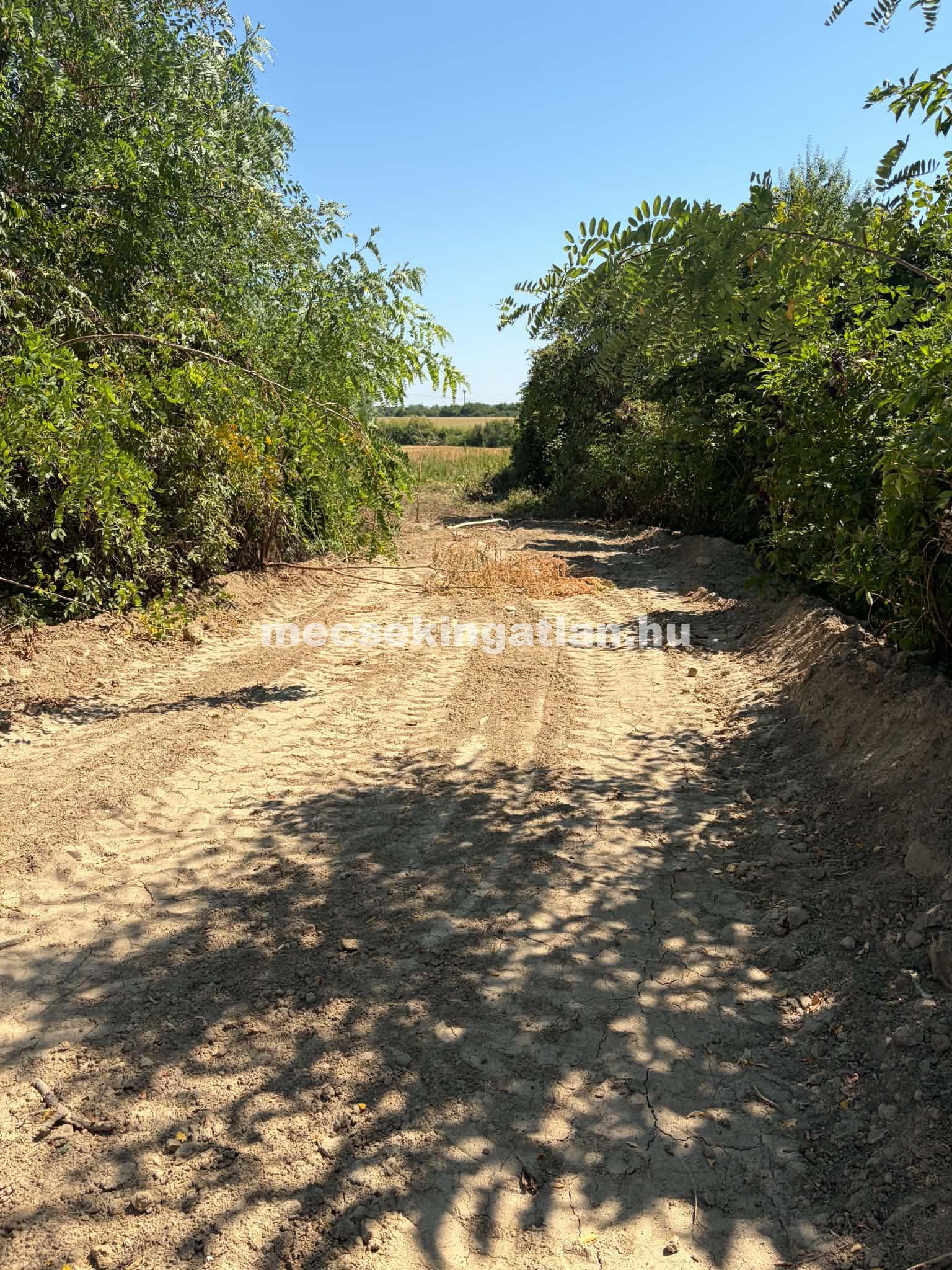 Gerdén félkész állapotú családi ház eladó!