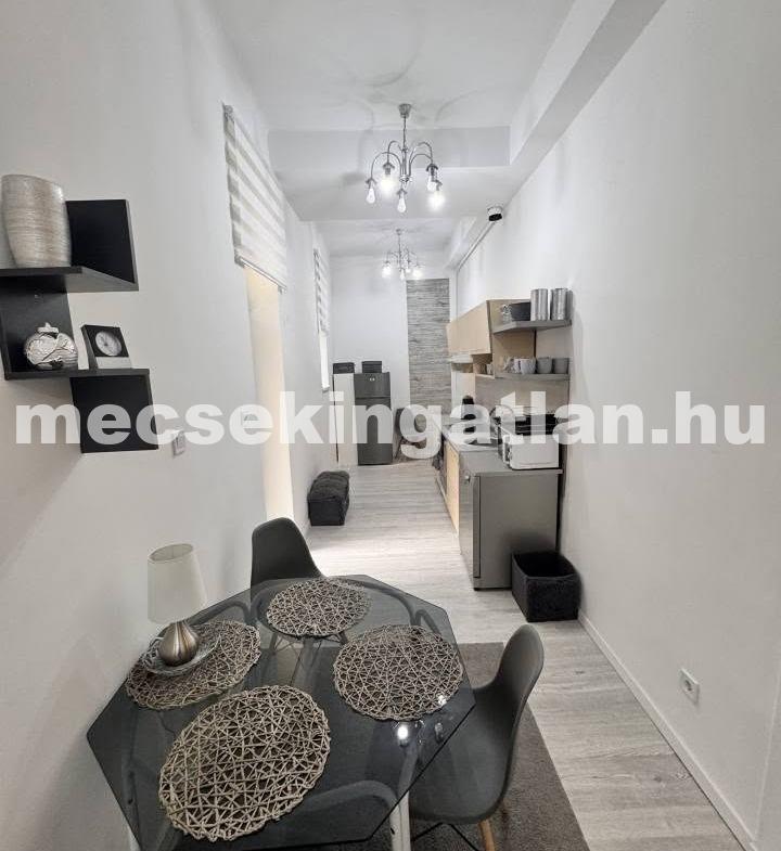 Pécs belvárosában a Lenke utcában földszinti, felújított, belső kertkapcsolatos téglalakás kiadó!