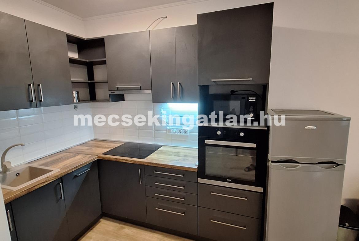 Pécsett a Radnics utcában földszinti, újépítésű téglalakás kiadó!